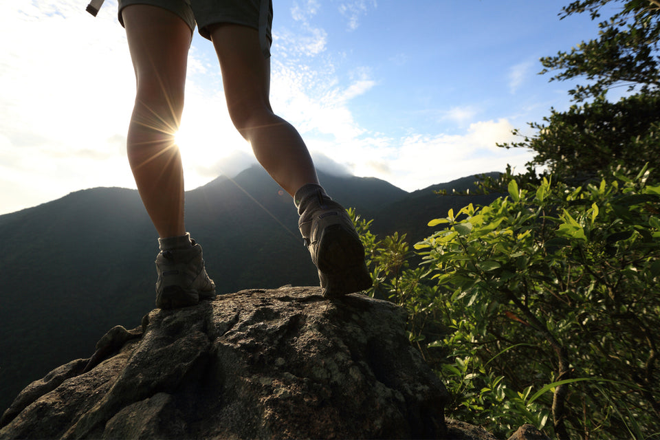 Person standing on a rock with mountain range in the background